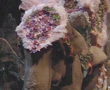 Lucytheelephant