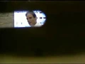 Tropics segment 320x240.jpg
