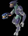 Halo2 s5 elite