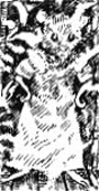 Cicely.jpg
