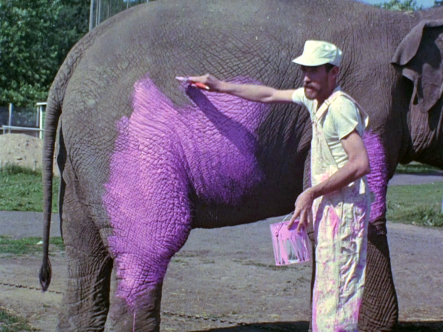 Pinkelephant