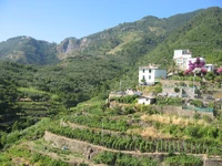 IMG 5145.JPG