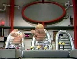 Pigsinspace324