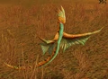 Thunderhawk Hatchling.jpg