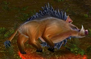 Bellygrub