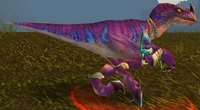 Mottled Raptor