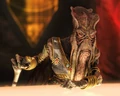 Poggle Geonosis.jpg