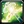 Spell nature slowingtotem.png