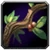Herbalism