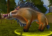 Elder Mountain Boar