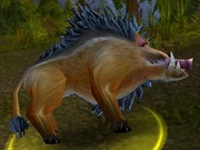 Mountain Boar