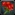 Inv rosebouquet01