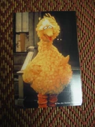 Bigbirdcardjp
