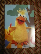 Littlebirdcardjp