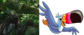 Hurleybird1.PNG