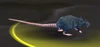 Deeprun Rat