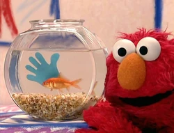 ElmosWorldHands02