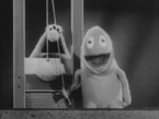 Wilkinsguillotine