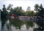 Alleppey backwaters alleppey01