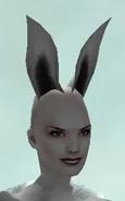 Bunny Ears