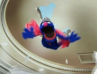 Sgrover.celebration