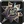 Inv mace22