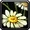 INV Misc Flower 02.png