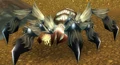Shanda the Spinner.jpg