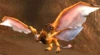 Pridewing Patriarch