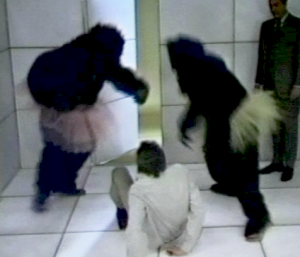 Gorillas-cube