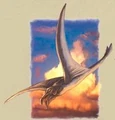 Thranta.JPG