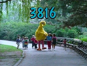 3816