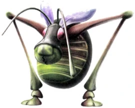 Antennabeetle