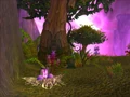 Eco-Dome Farfield Int.jpg