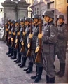 Akn.jpg