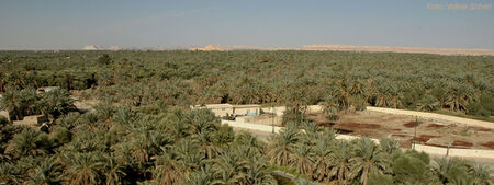 800px-Oase Siwa