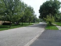 Munster - Camellia Drive.JPG