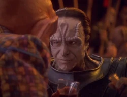 DamarQuarkFavorTheBold
