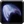 Inv qiraj carapaceoldgod