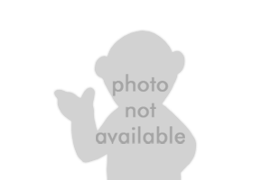 Photo-not-available
