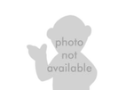 Photo-not-available