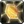 Inv qiraj jewelblessed