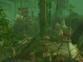 Camp Mojache.jpg