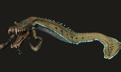 Colo-Klauenfisch.jpg