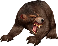 Bear