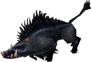 Boar