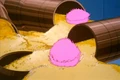 Quintotriticale-tribbles.jpg
