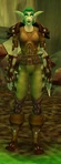 Nalesette Wildbringer