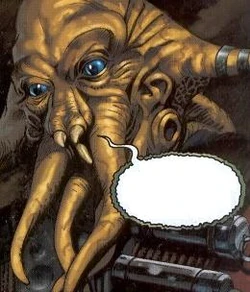 Grakko.JPG