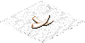 Ts.arctic ivory.png